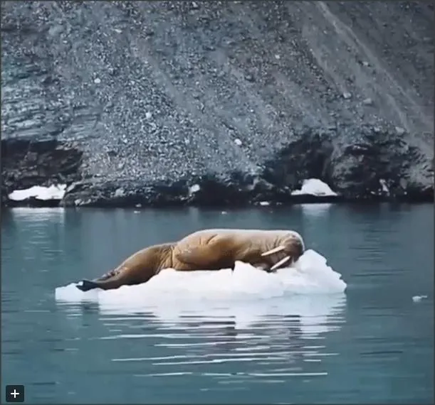 Позитивчик (фото, видео, рассказы для хорошего настроения)