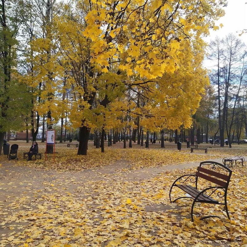 Чайная беседка