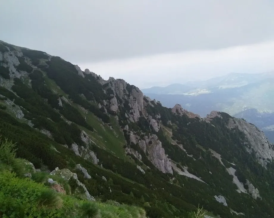 Чайная беседка