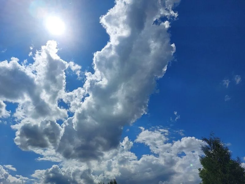 Такое разное небо