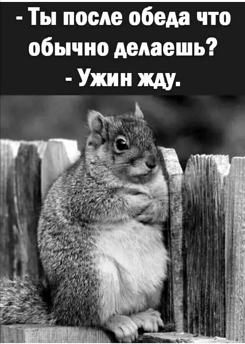 Позитивчик (фото, видео, рассказы для хорошего настроения)