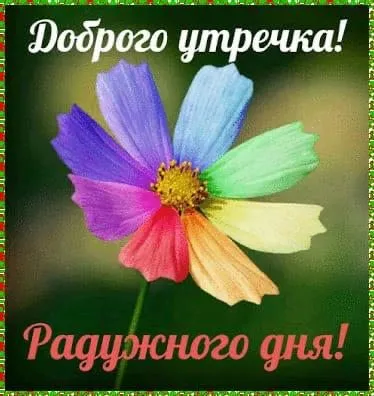 Tapтaлeтки & Ко