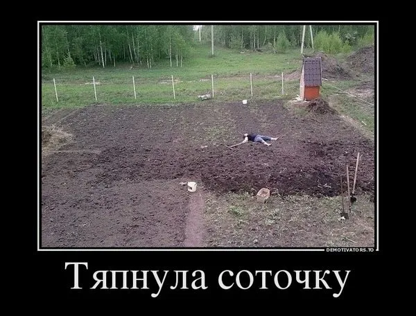 Чайная беседка