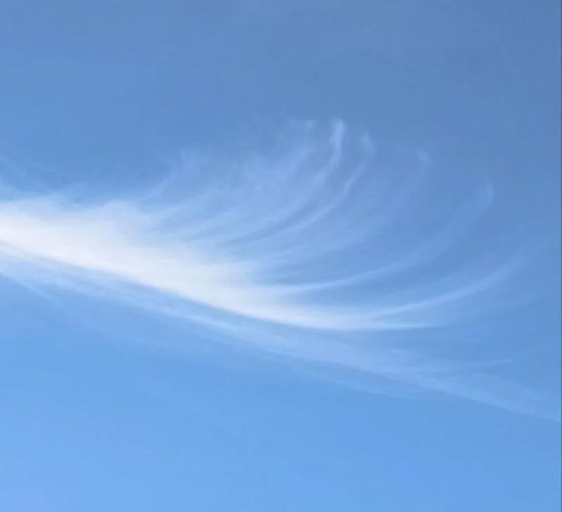 Такое разное небо