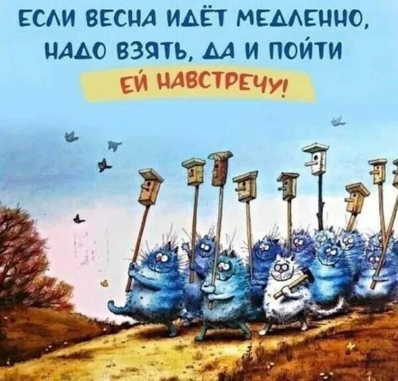 Кафе "У пани Сони"