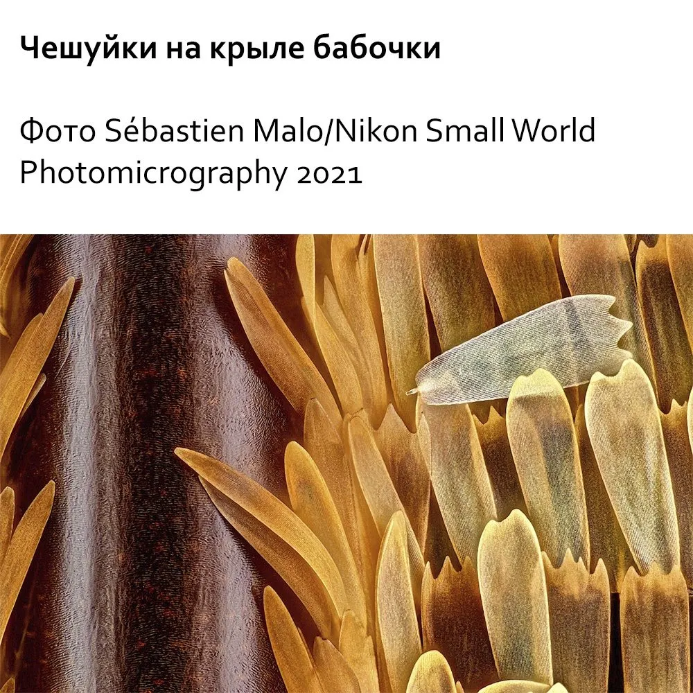 Это интересно!