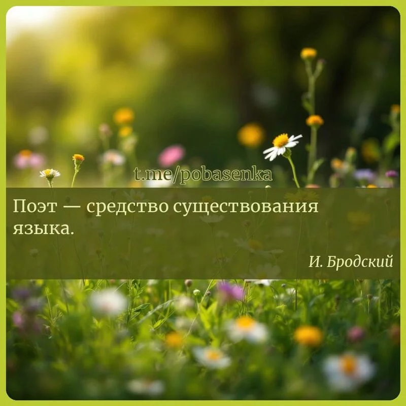 «Поэт — средство существования...» height="550" width="550"