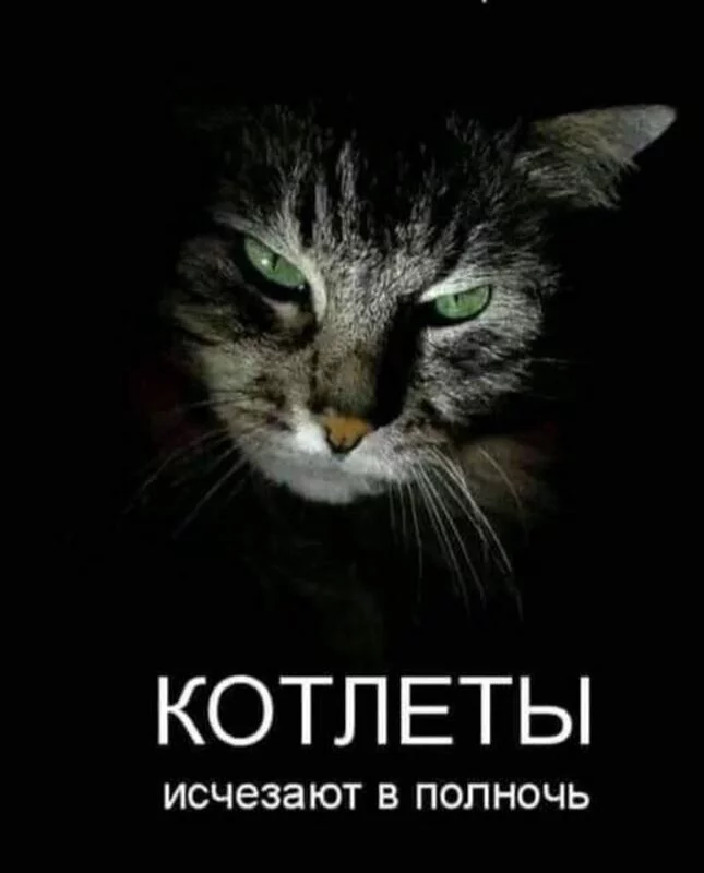 Посмеялся сам - поделись с другом!!!