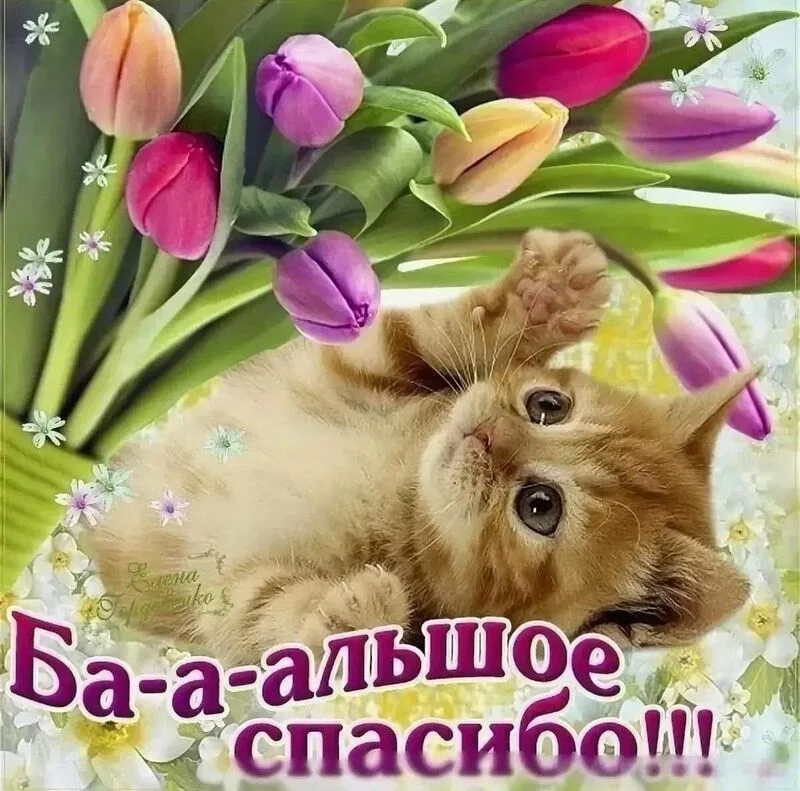 Tapтaлeтки & Ко