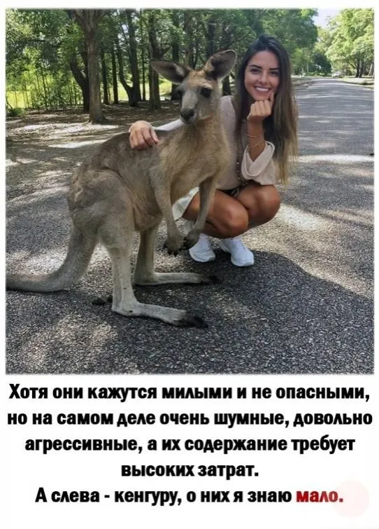 Посмеялся сам - поделись с другом!!!