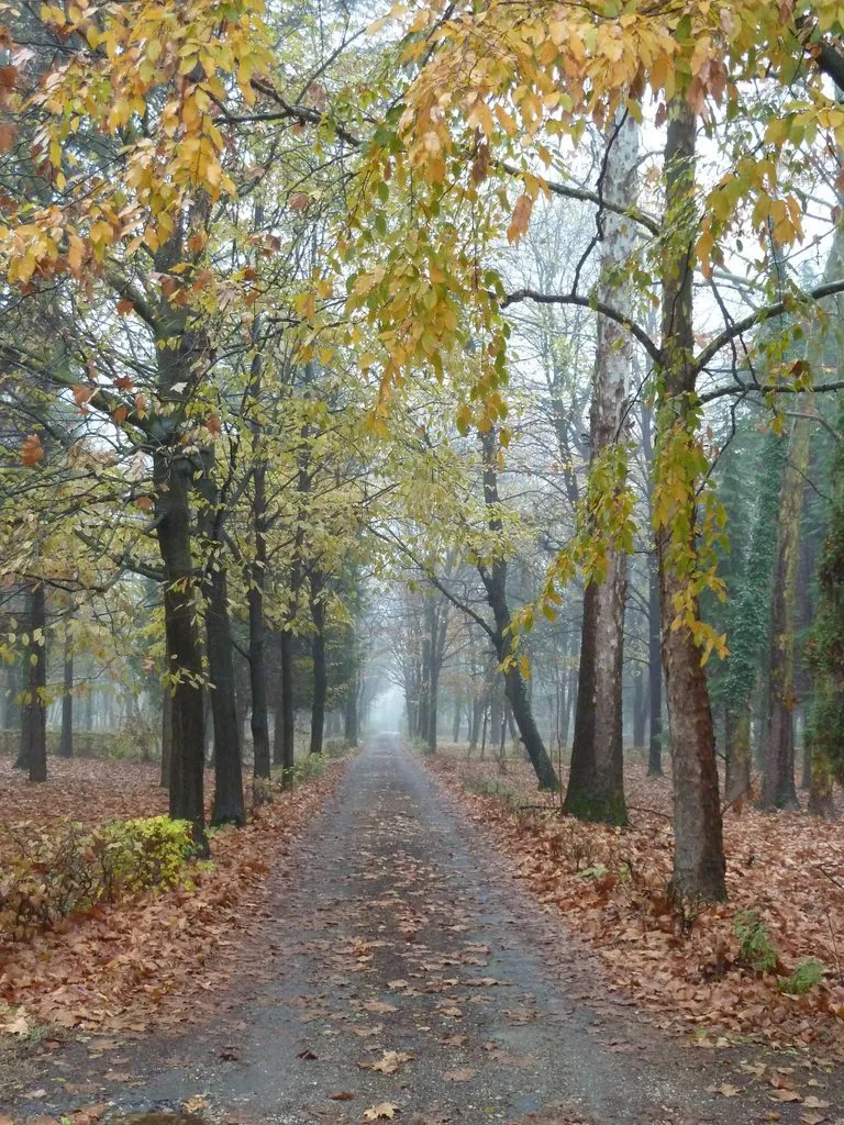 Фотонастроение