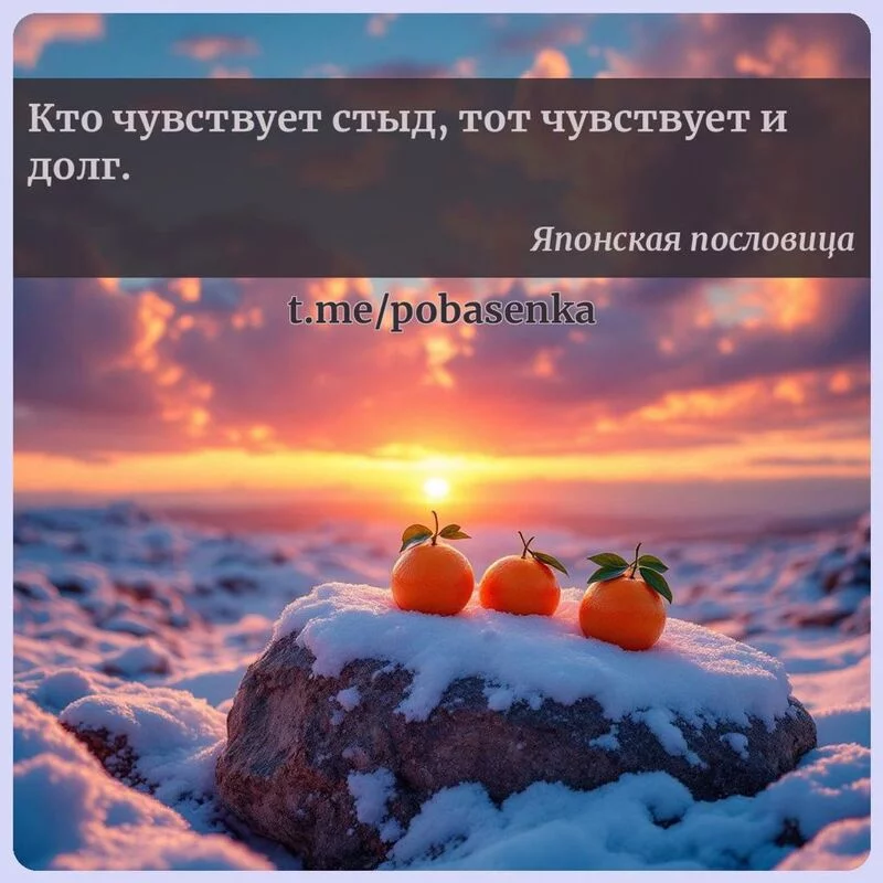 «Кто чувствует стыд, тот чувствует и...» height="550" width="550"