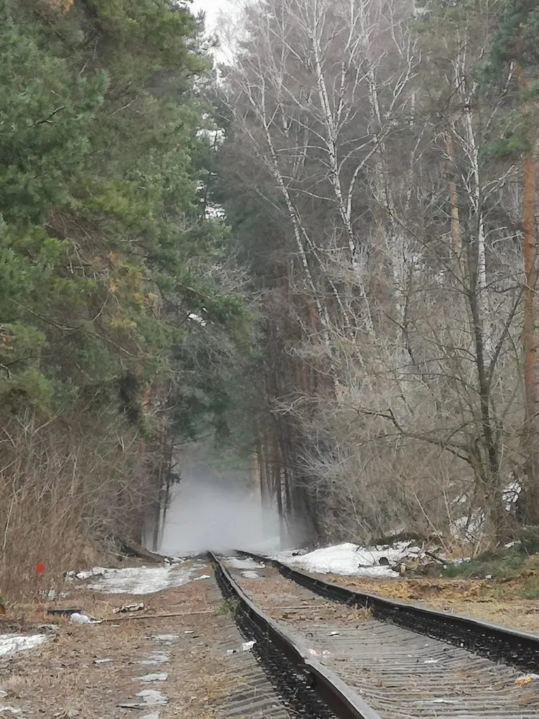 Чайная беседка