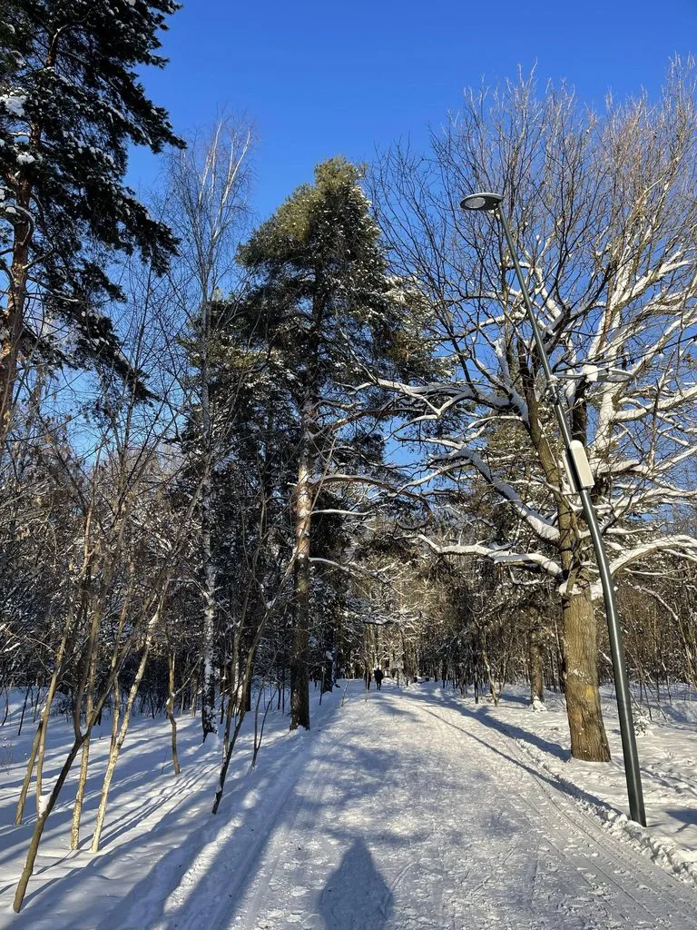 Чайная беседка