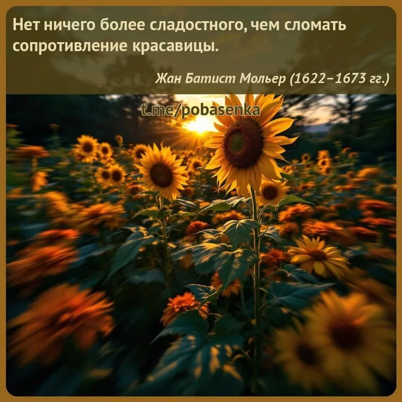 «Нет ничего более сладостного, чем сломать сопротивление...» height="550" width="550"