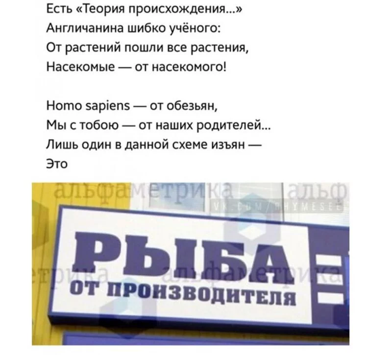 Всюду рифмы