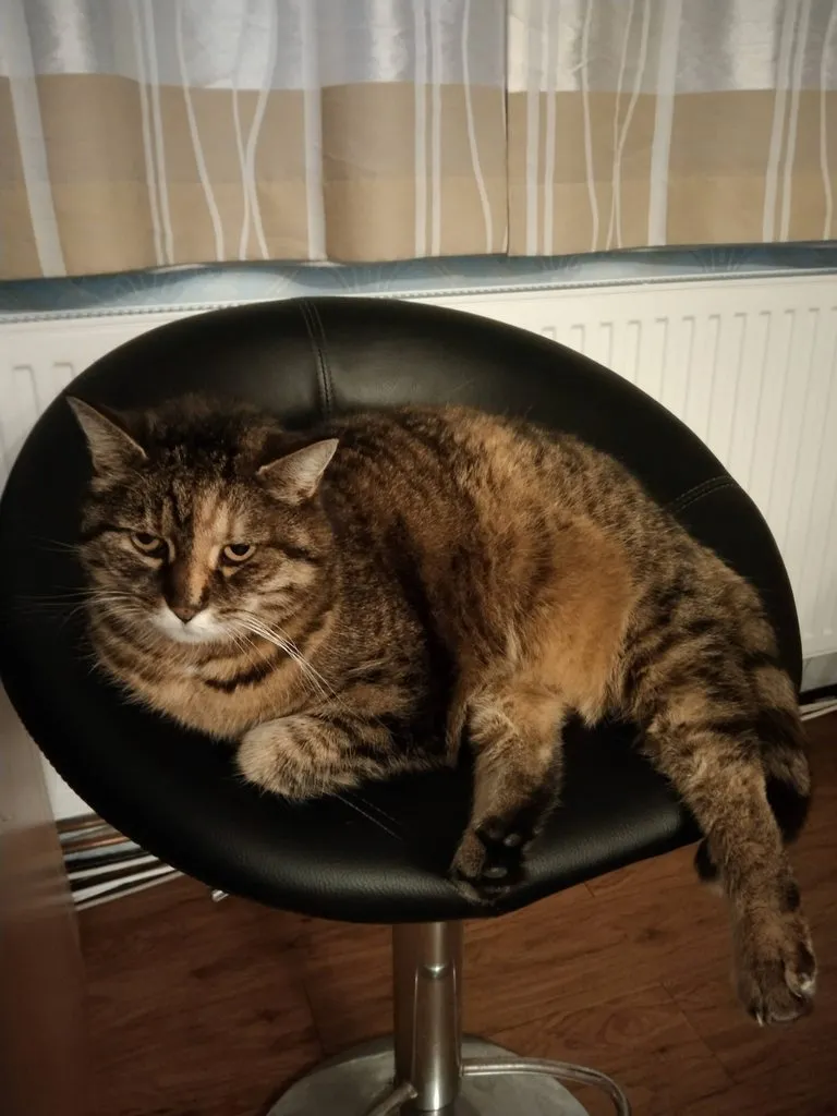 Чайная беседка