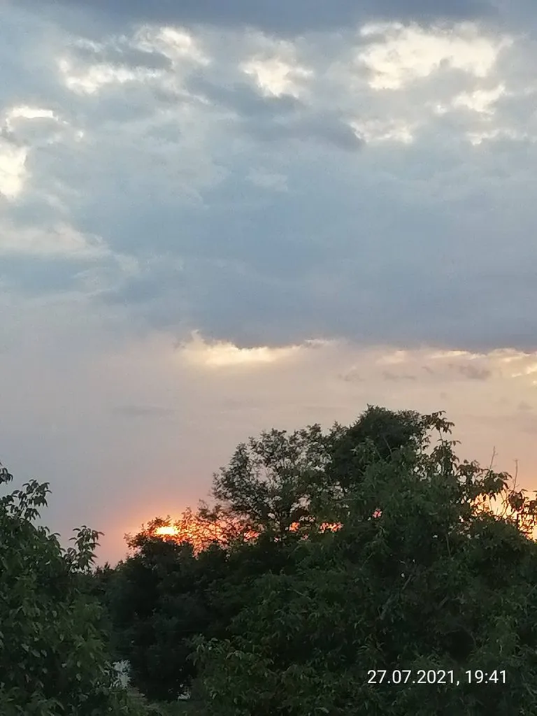 Чайная беседка