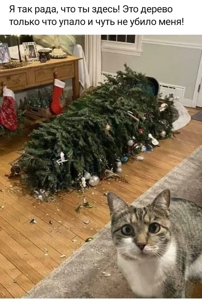 Посмеялся сам - поделись с другом!!!