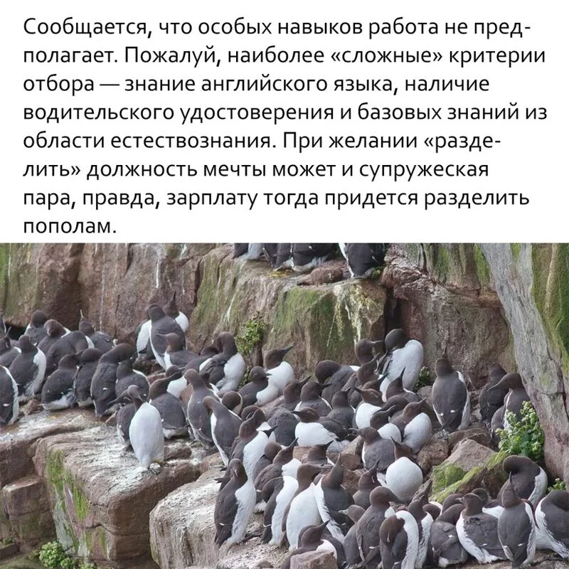 Это интересно!