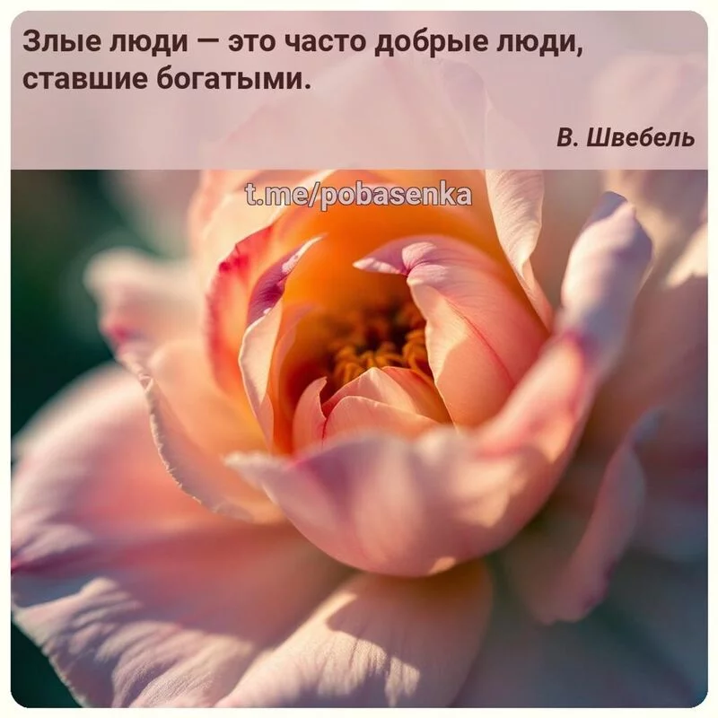 «Злые люди — это часто добрые люди, ставшие...» height="550" width="550"