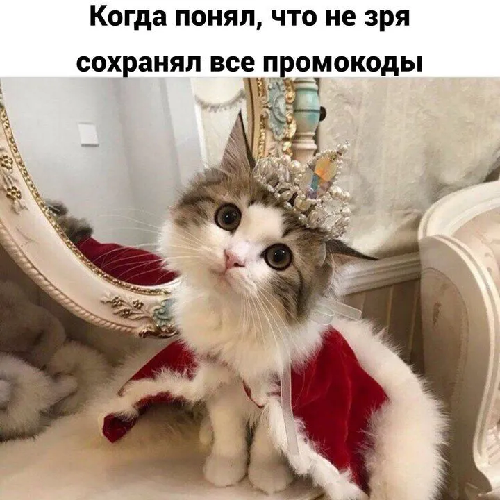 Tapтaлeтки & Ко