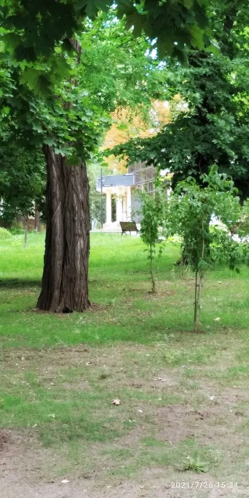 Tapтaлeтки & Ко