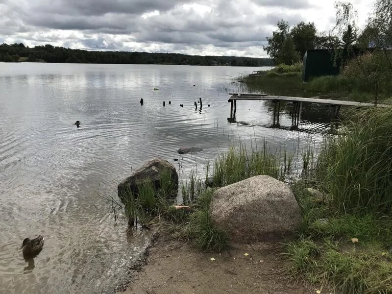 Чайная беседка