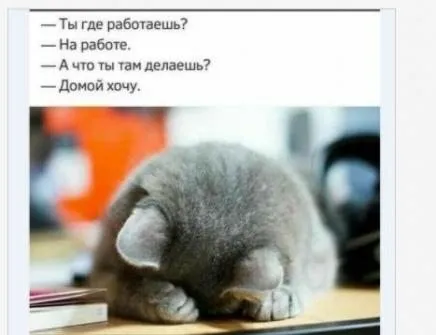 Tapтaлeтки & Ко