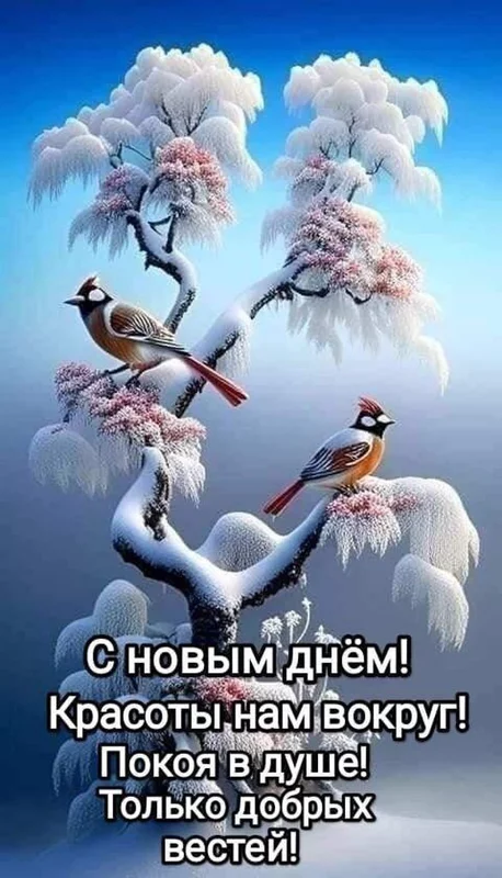 Кафе "У пани Сони"