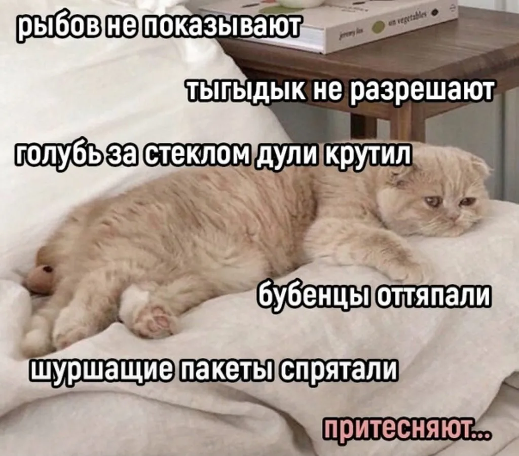 Кто сказал "Мяу"?