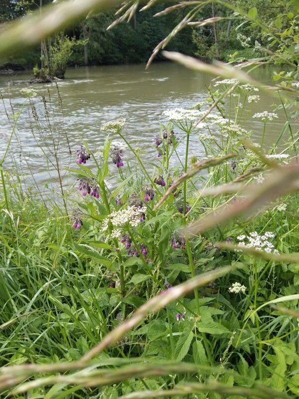 Чайная беседка