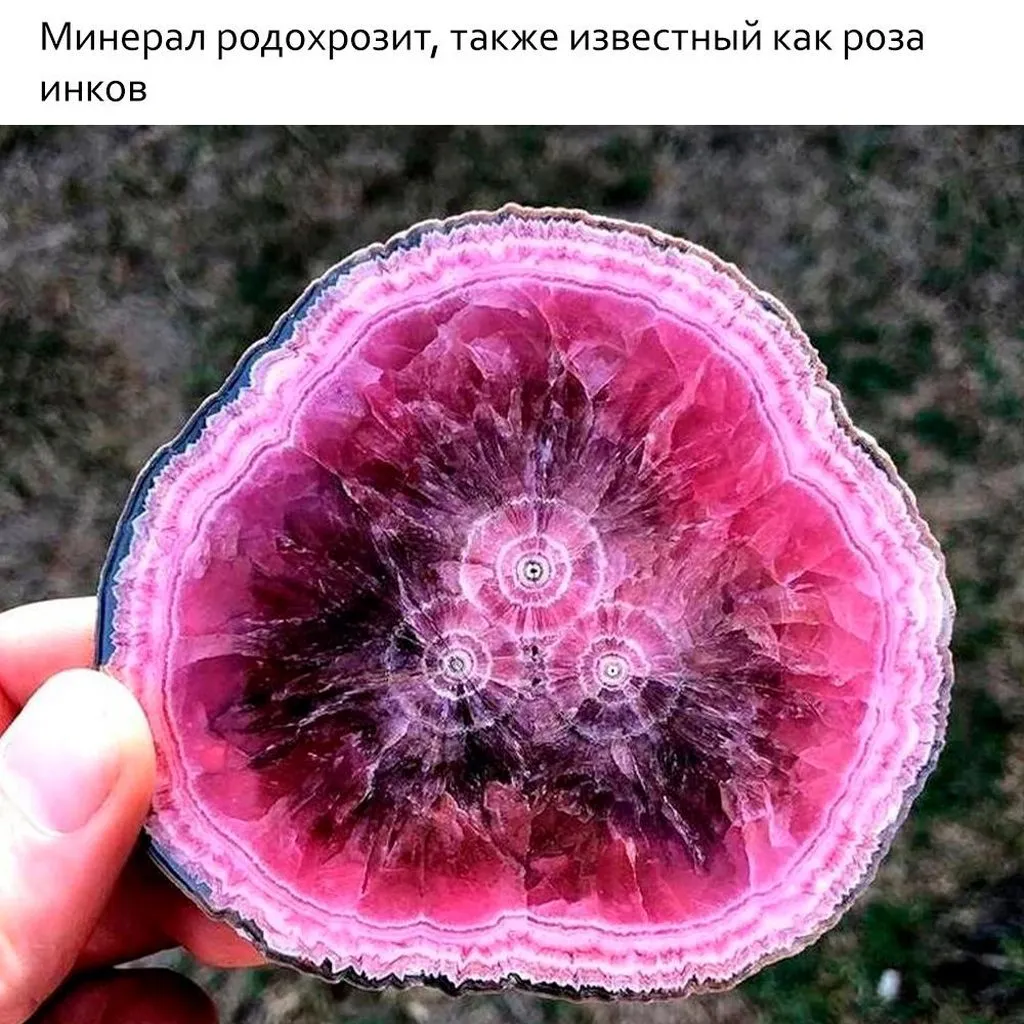 Это интересно!