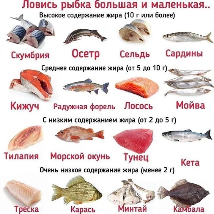 Кулинарная инфографика