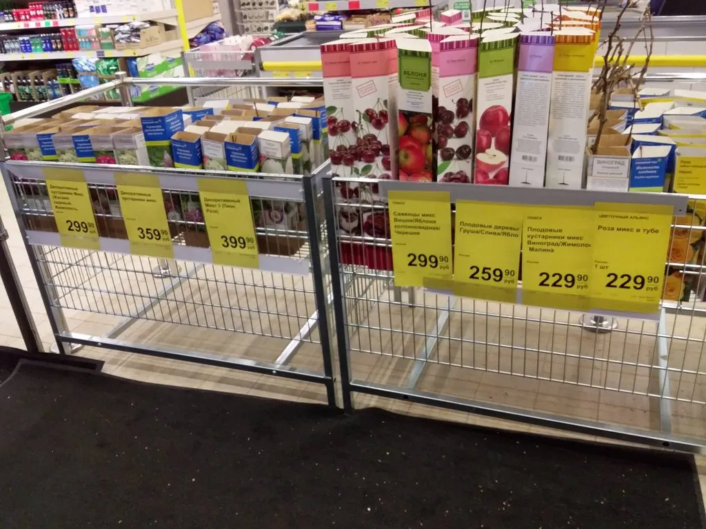 Где, что и когда купить в Москве