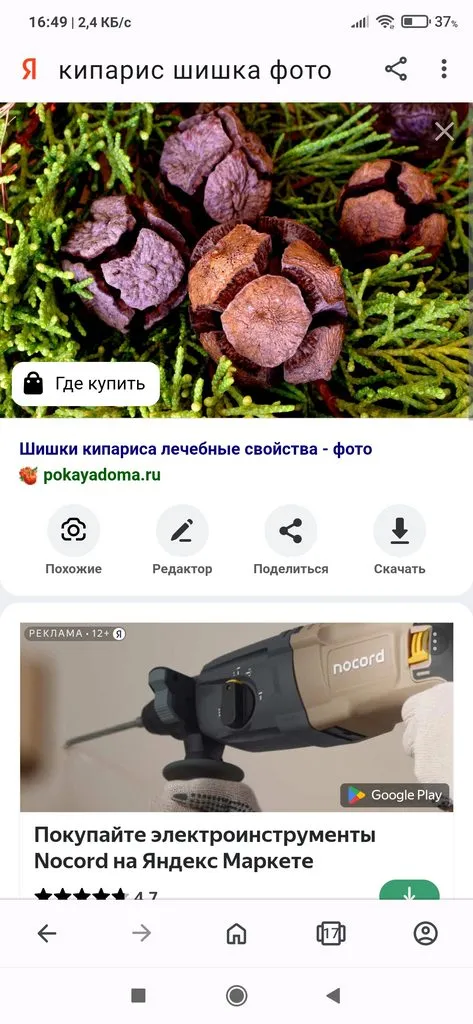 Чайная беседка