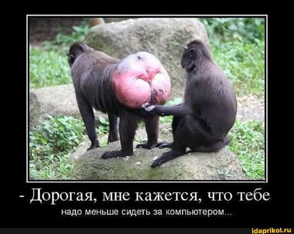 Посмеялся сам - поделись с другом!!!