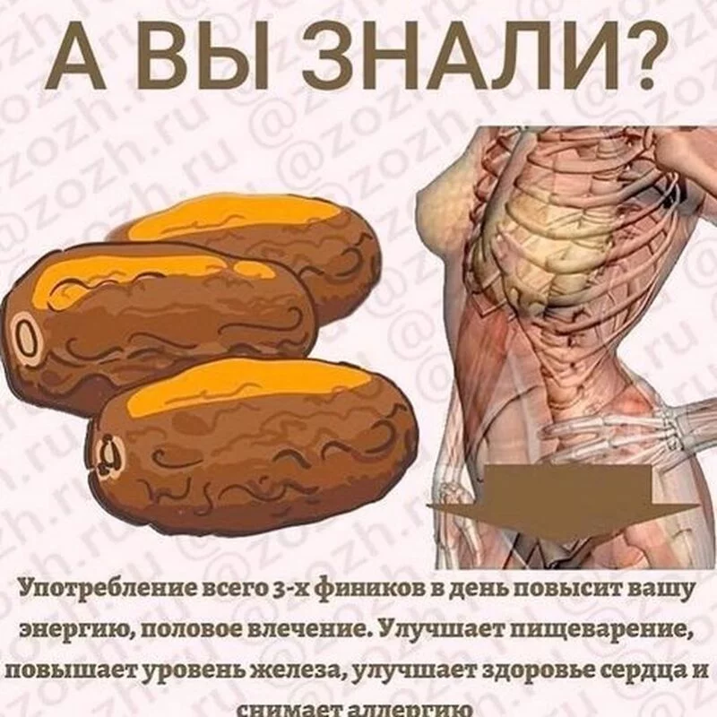 Медицинская инфографика
