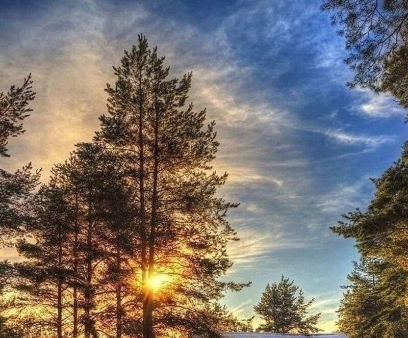 Такое разное небо