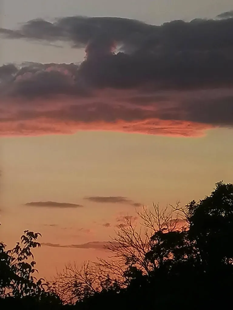 Такое разное небо