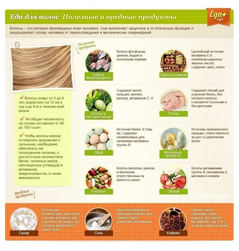 Медицинская инфографика