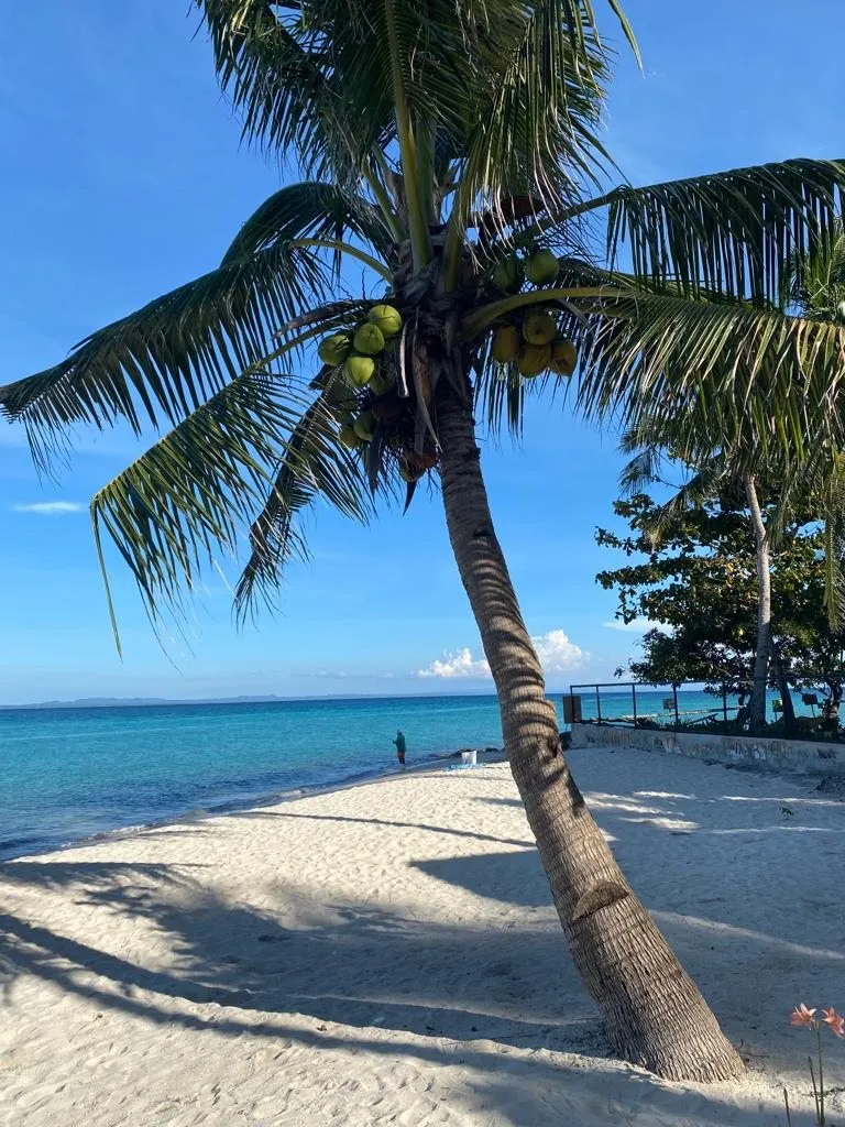 Вопросы к проживающим в местах назначения возможных моих путешествий