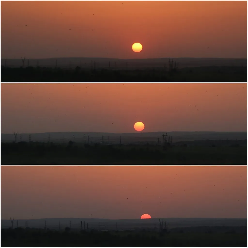 Такое разное небо