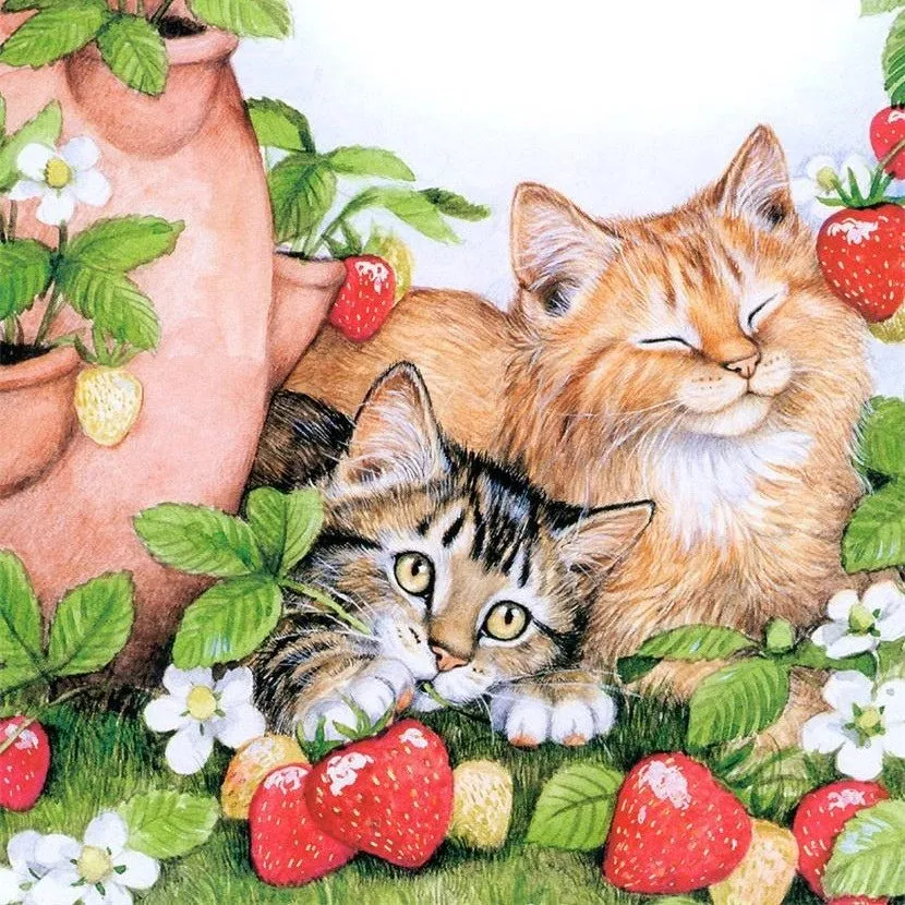 Кафе «У пани Сони»