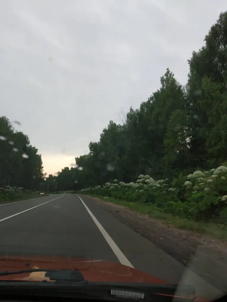 Чайная беседка