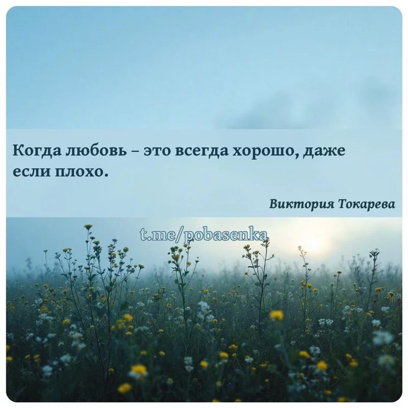 «Когда любовь это всегда хорошо, даже если плохо...» height="550" width="550"