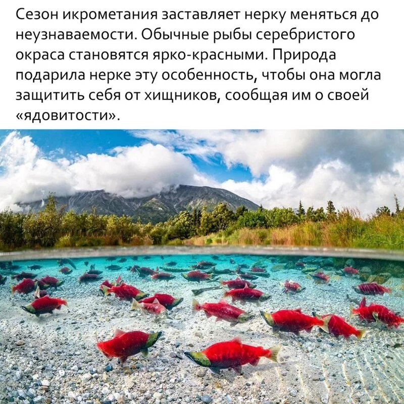 Это интересно!