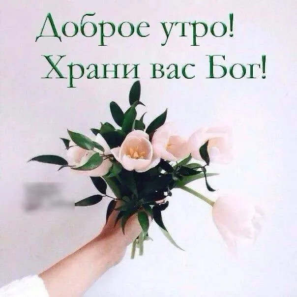 Tapтaлeтки & Ко