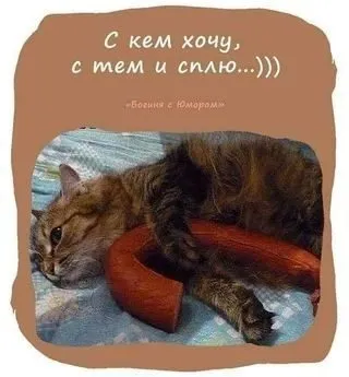 Посмеялся сам - поделись с другом!!!