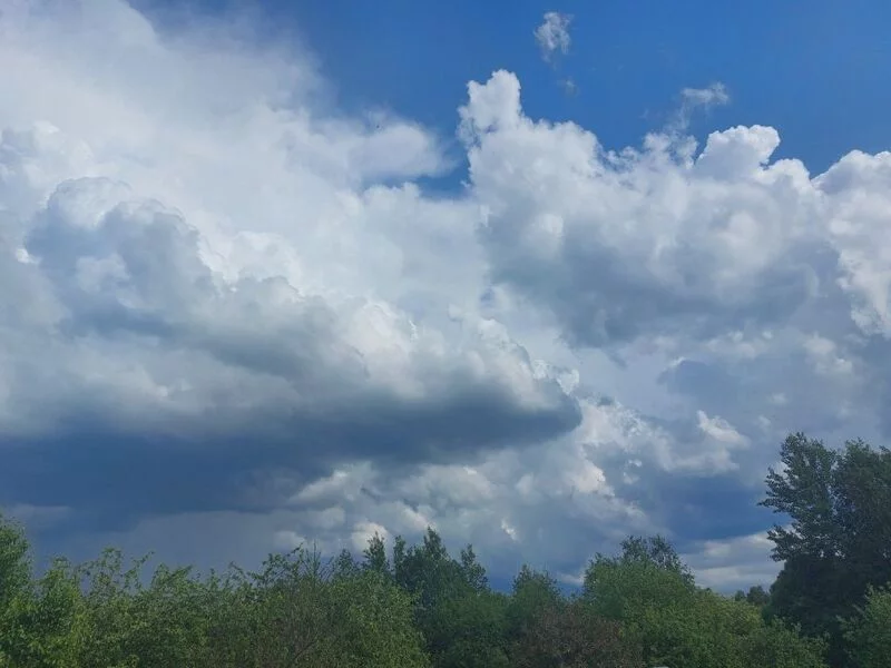 Такое разное небо